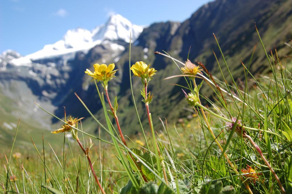 Ferienhaus Islitzer Hollersbach im Pinzgau Εξωτερικό φωτογραφία